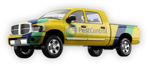 pest-control-van pest control jamaica van